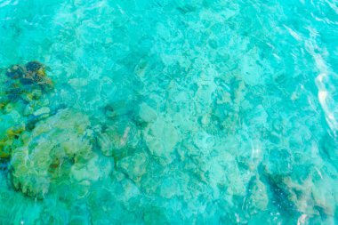 Maldivler Adası 'ndaki mercan resifleriyle deniz manzarası