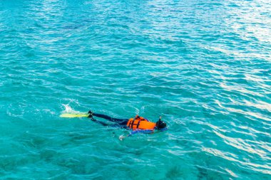 Tropikal Maldivler Adası dalış