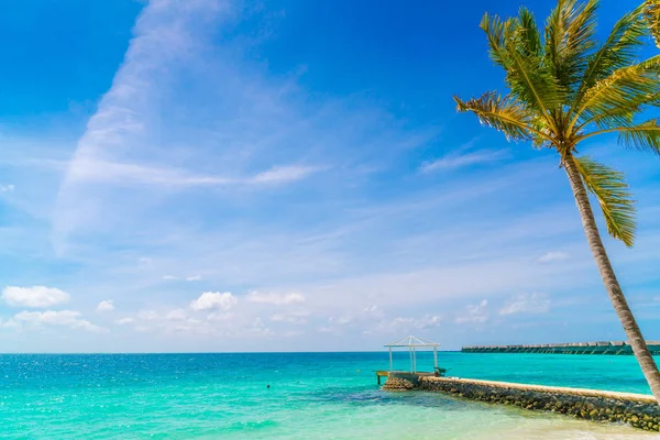 Güzel Tropikal Maldivler Ada Beyaz Kumlu Plaj Deniz Avuç Içi — Stok fotoğraf
