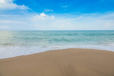 plaj ve tropikal deniz