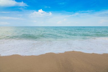 plaj ve tropikal deniz