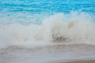 plaj ve tropikal deniz