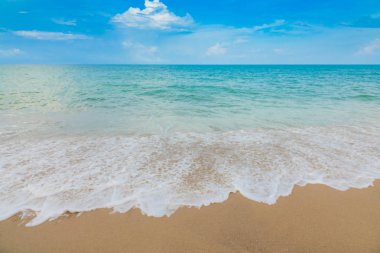 plaj ve tropikal deniz