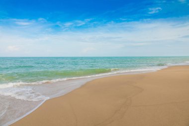 plaj ve tropikal deniz