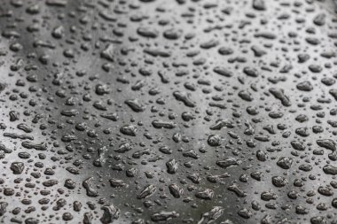 Su üzerinde siyah blackground damla