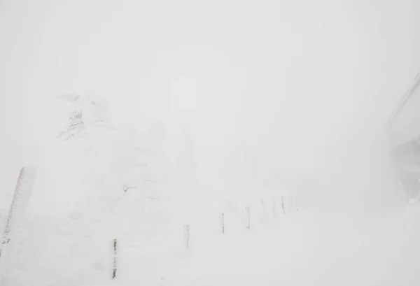 Área Monstros Neve Montanha Zao Japão — Fotografia de Stock