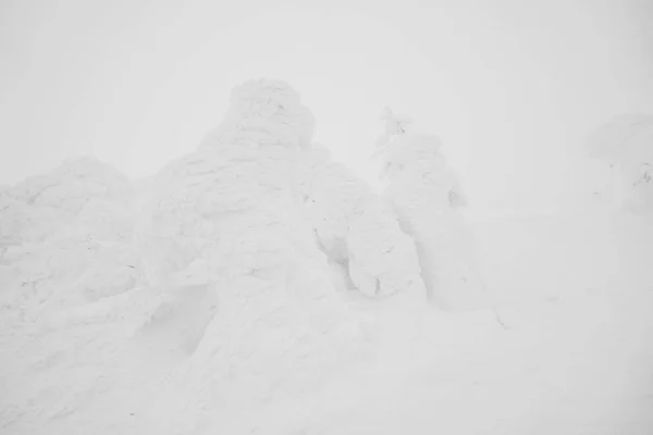 Área Monstros Neve Montanha Zao Japão — Fotografia de Stock