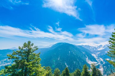 Güzel ağaç ve kar kaplı dağlar manzara Kashmir stat