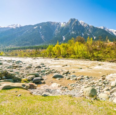 Güzel nehir ve kar kaplı dağlar manzara Kashmir st