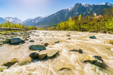 Güzel nehir ve kar kaplı dağlar manzara Kashmir st