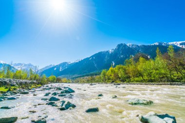 Güzel nehir ve kar kaplı dağlar manzara Kashmir st