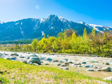 Güzel nehir ve kar kaplı dağlar manzara Kashmir st