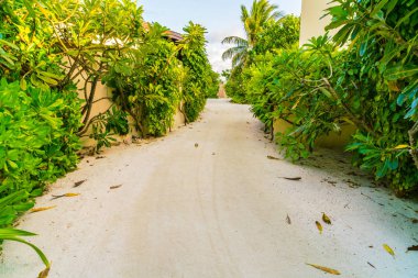 Yeşil orman şekilde .