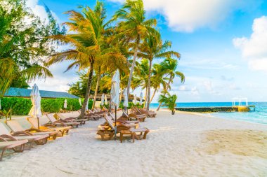 Plaj sandalyeleri Maldivler Island, beyaz kumlu Plajda şemsiye ile