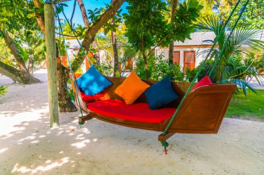 Tropikal Maldivler adasında ağaçta salıncak asmak .