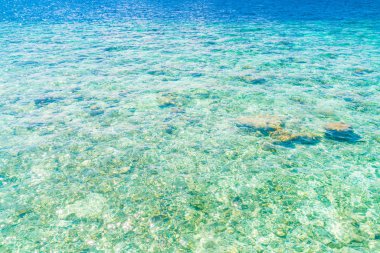 Maldivler Adası 'ndaki mercan resifleriyle deniz manzarası .