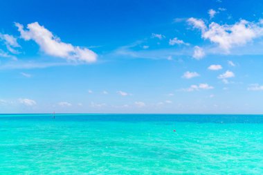 Güzel tropikal Maldivler ada beyaz kumlu plaj ve se ile