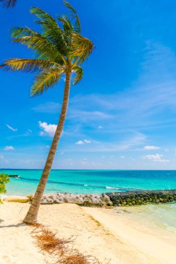 Güzel tropikal Maldivler Island, beyaz kumlu plaj ve deniz w