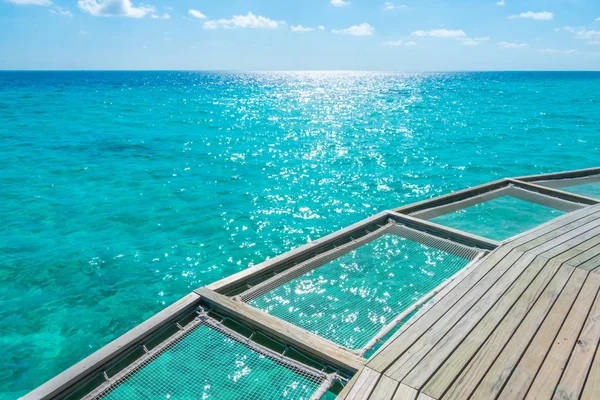 Wakacje Netto Siedzenia Tropikalnej Wyspie Malediwy Piękno Morza Raf Koralowych — Zdjęcie stockowe