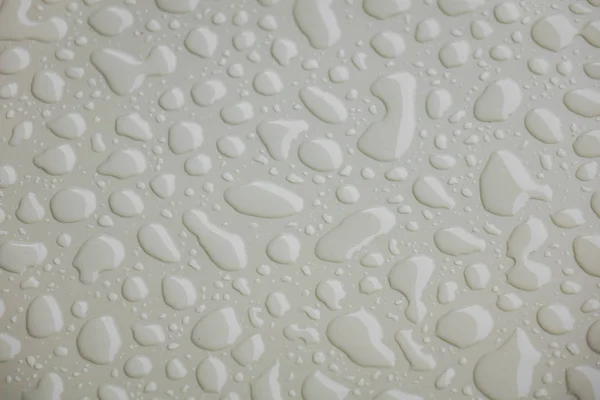 Water drops on white  blackground . — Stock Photo, Image
