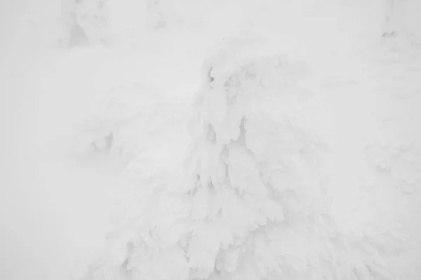 雪怪地区山造, 日本 . — 图库照片