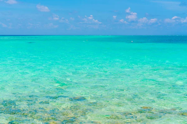 Hermosa isla tropical de Maldivas con playa de arena blanca y se — Foto de Stock