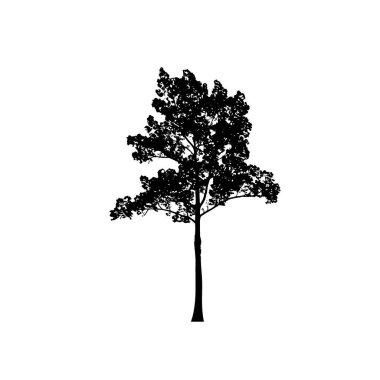Beyaz arka planda ağaç siluetleri. Vektör illüstrasyon tasarımı.