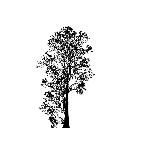 Silhouettes Arbres Sur Fond Blanc Illustration Vectorielle — Image vectorielle