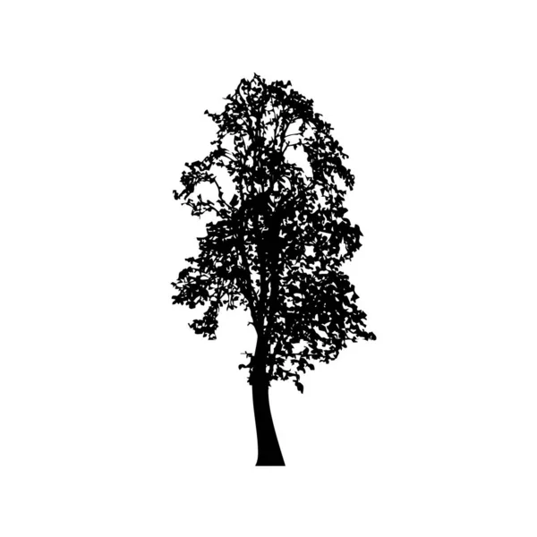 Siluetas Árbol Sobre Fondo Blanco Diseño Ilustración Vectorial — Vector de stock