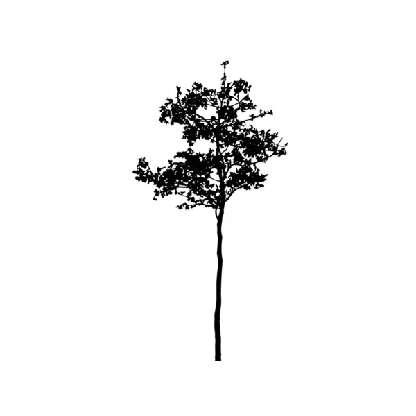 Siluetas Árbol Sobre Fondo Blanco Diseño Ilustración Vectorial — Vector de stock