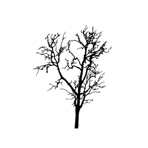 Sílhuetas Árvores Fundo Branco Desenho Ilustração Vetorial — Vetor de Stock