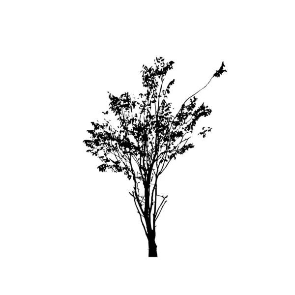 Silhouettes Arbres Sur Fond Blanc Illustration Vectorielle — Image vectorielle