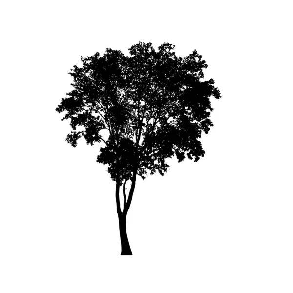 Silhouettes Arbres Sur Fond Blanc Illustration Vectorielle — Image vectorielle