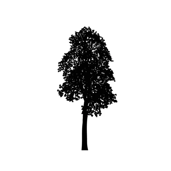 Silhouettes Arbres Sur Fond Blanc Illustration Vectorielle — Image vectorielle