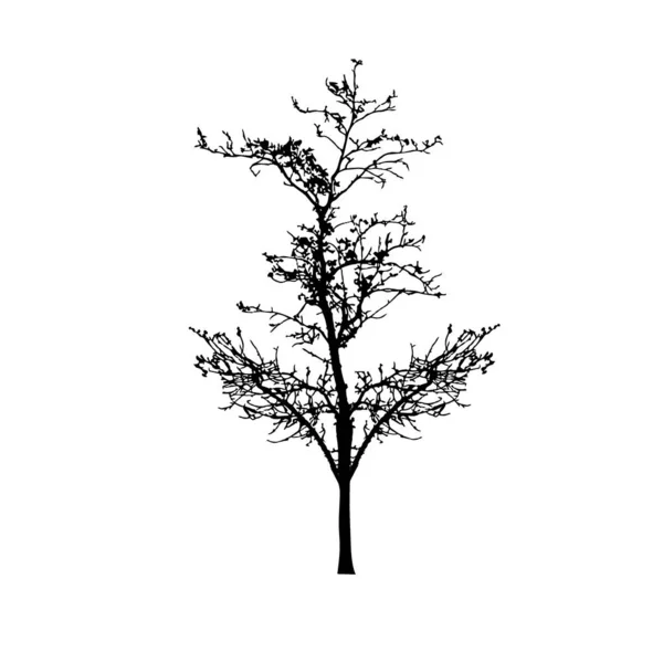 白い背景の木のシルエット ベクターイラストデザイン — ストックベクタ