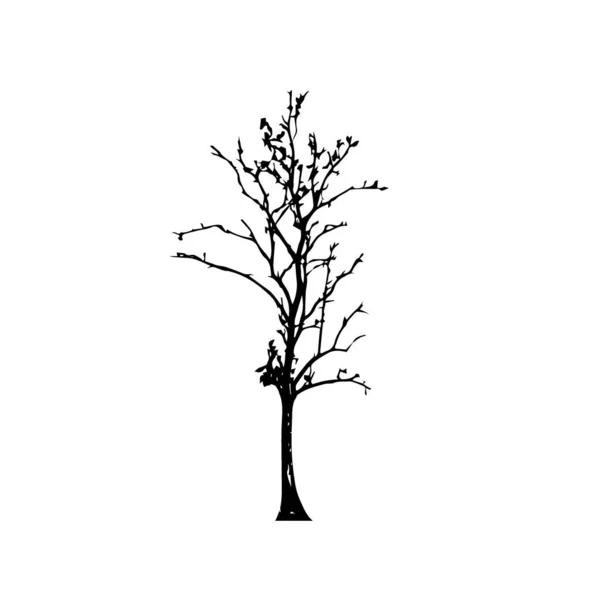 Baumsilhouetten Auf Weißem Hintergrund Vektor Illustrationsdesign — Stockvektor