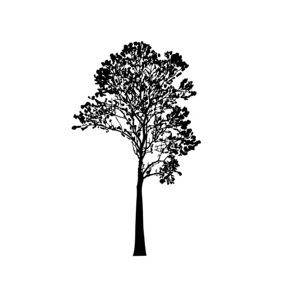 Σκιαγραφίες Δέντρων Λευκό Φόντο Σχεδιασμός Εικονογράφησης Διανύσματος — Διανυσματικό Αρχείο
