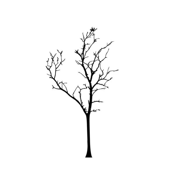 Siluety Stromů Bílém Pozadí Návrh Vektorové Ilustrace — Stockový vektor