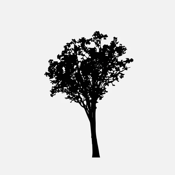 Siluet Pohon Dengan Latar Belakang Putih Desain Ilustrasi Vektor - Stok Vektor