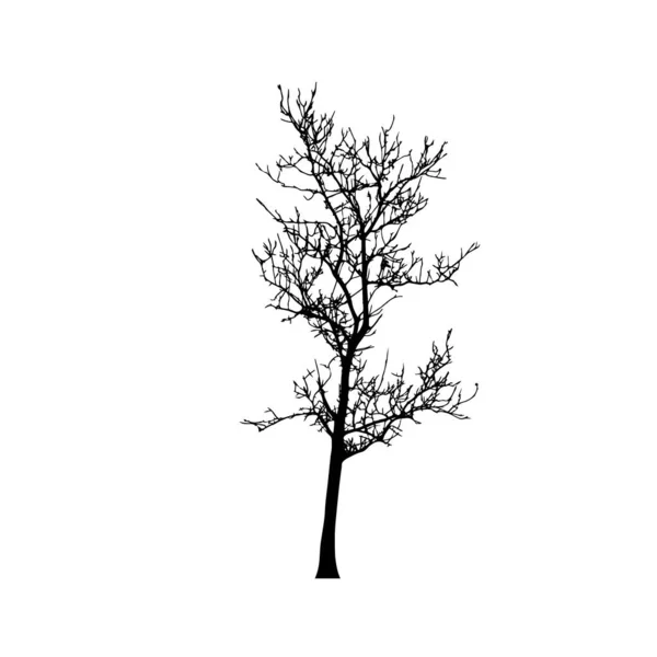 Silhouettes Arbres Sur Fond Blanc Illustration Vectorielle — Image vectorielle