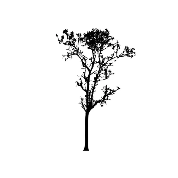 Silhouettes Arbres Sur Fond Blanc Illustration Vectorielle — Image vectorielle