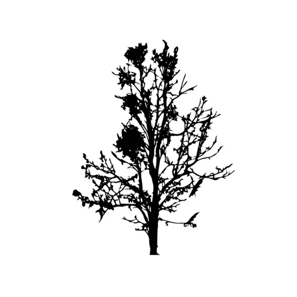 Silhouettes Arbres Sur Fond Blanc Illustration Vectorielle — Image vectorielle