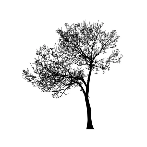 Sílhuetas Árvores Fundo Branco Desenho Ilustração Vetorial —  Vetores de Stock