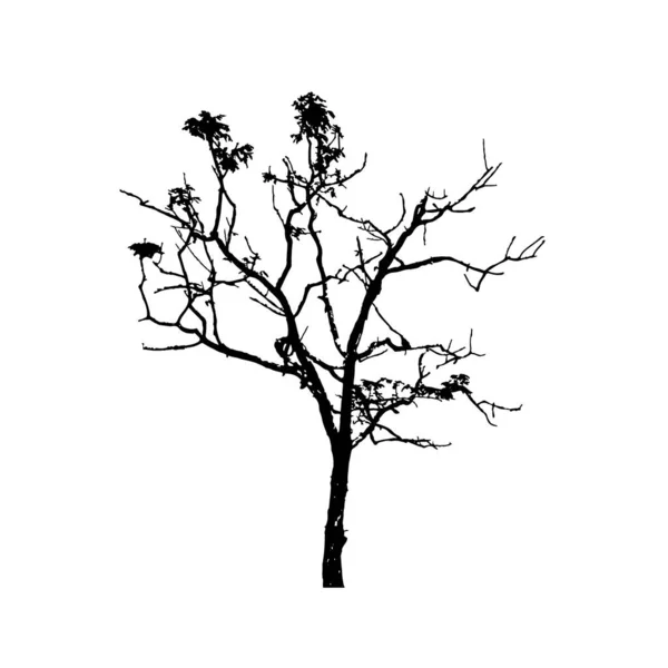 Silhouettes Arbres Sur Fond Blanc Illustration Vectorielle — Image vectorielle