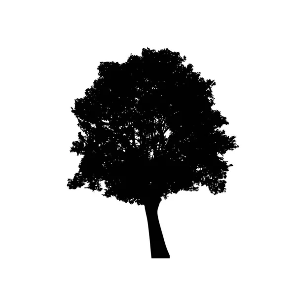 Силуэты Деревьев Белом Фоне Векторная Иллюстрация — стоковый вектор