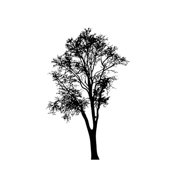Σκιαγραφίες Δέντρων Λευκό Φόντο Σχεδιασμός Εικονογράφησης Διανύσματος — Διανυσματικό Αρχείο
