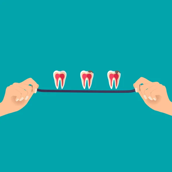 Les Mains Dentiste Avec Dent Concept Dentaire Dentiste Formation Illustration — Image vectorielle