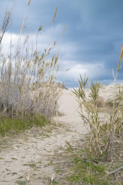 Akdeniz sahil peyzaj