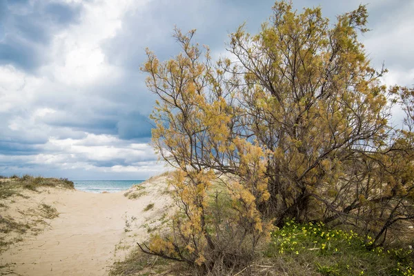 Paysage de plage méditerranéen — Photo