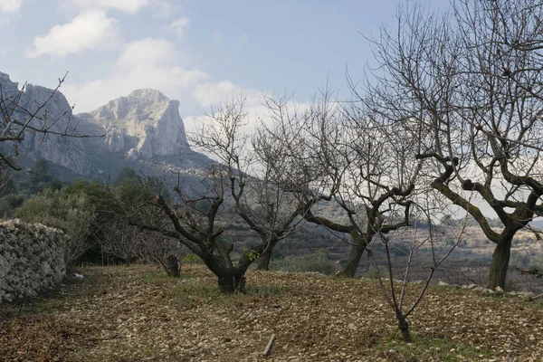 La vall de gallinera — ストック写真